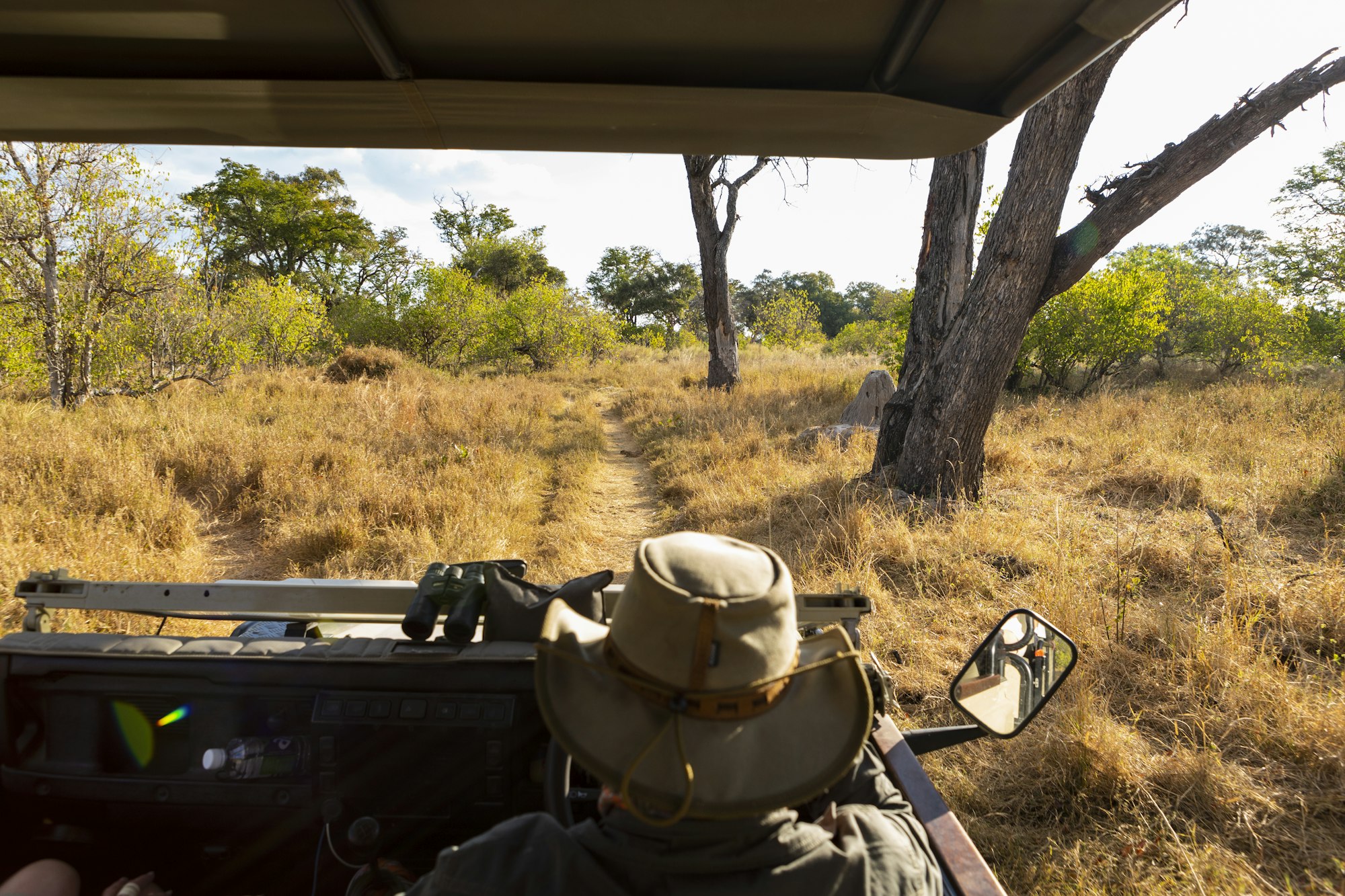 A safari guide in a bush hat at the wheel of a jeep, an elephant in the distance.